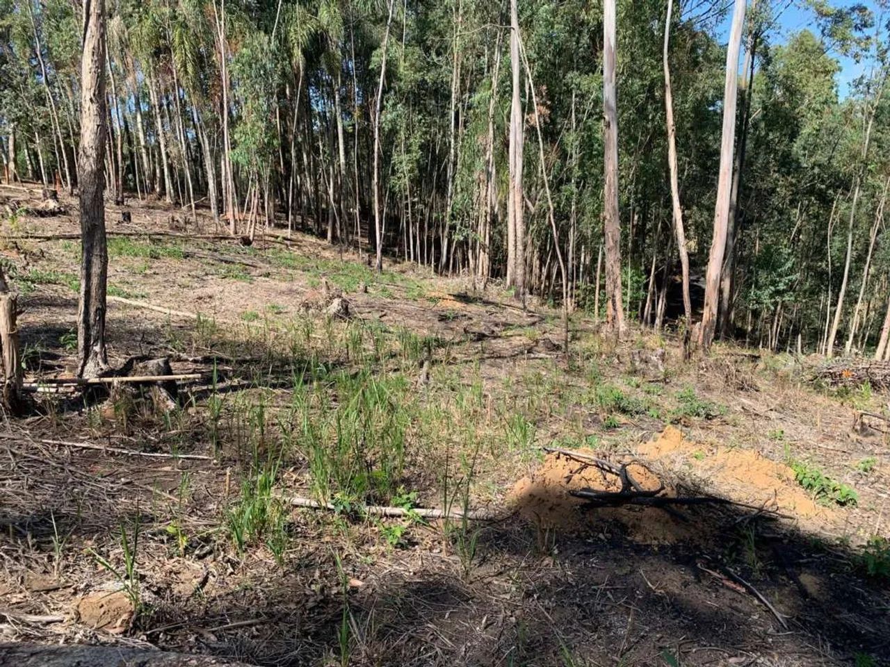 Terreno para Venda em Toledo