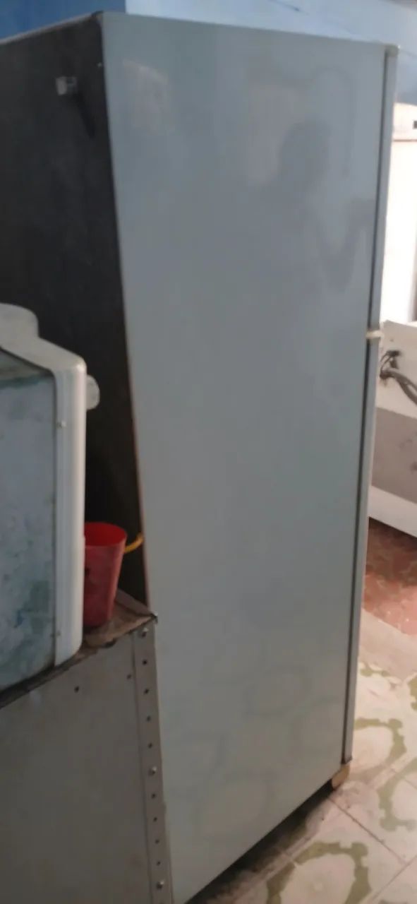 Geladeira Electrolux duplex.