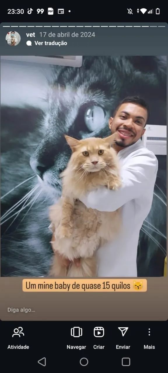 Atendimento Veterinário em Domicílio - Foto 2