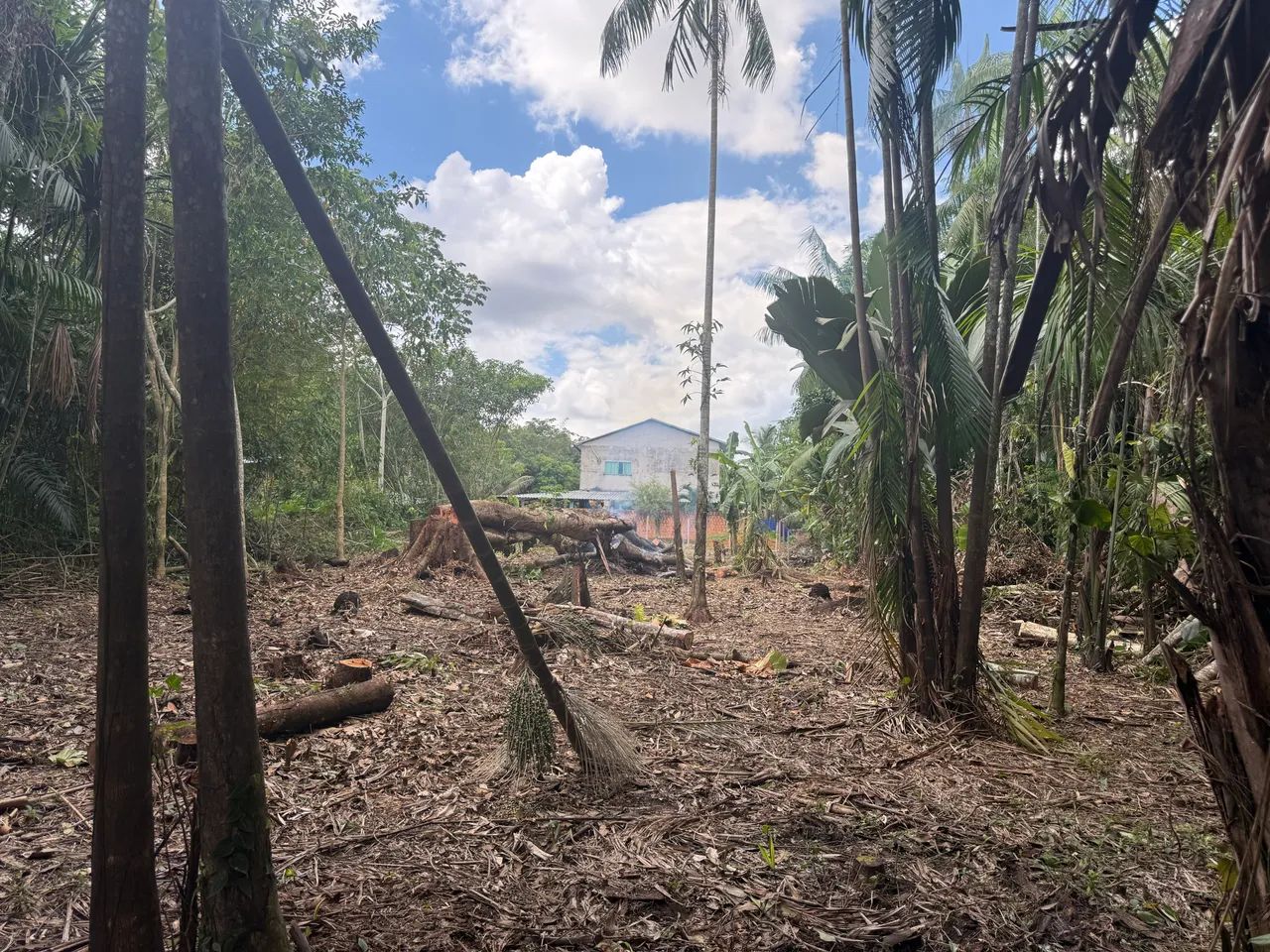 Venda terreno 10x65 - Foto 7