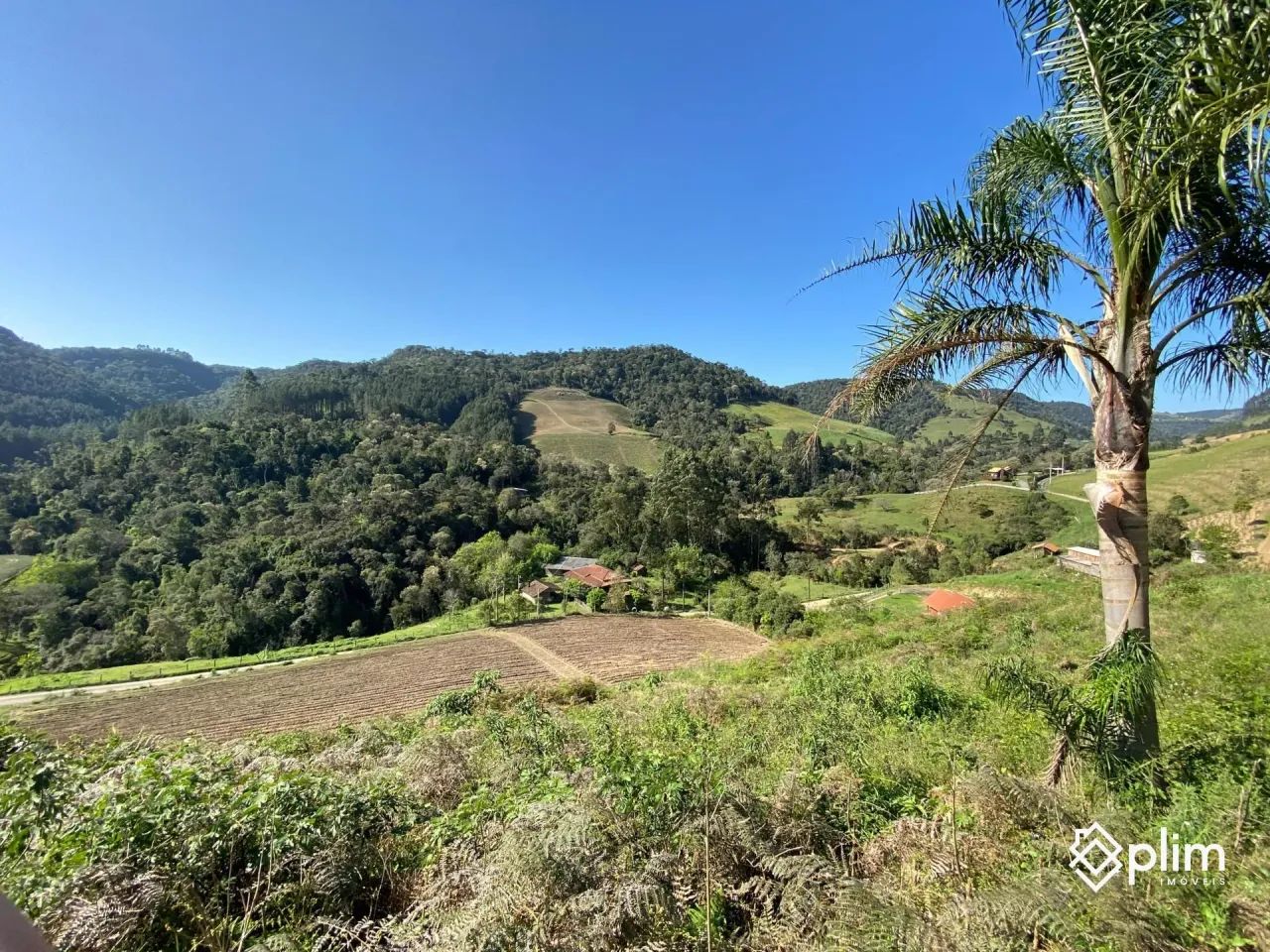 OPORTUNIDADE: Sítio com 40.000m² em Alfredo Wagner - Serra Catarinense - Foto 5