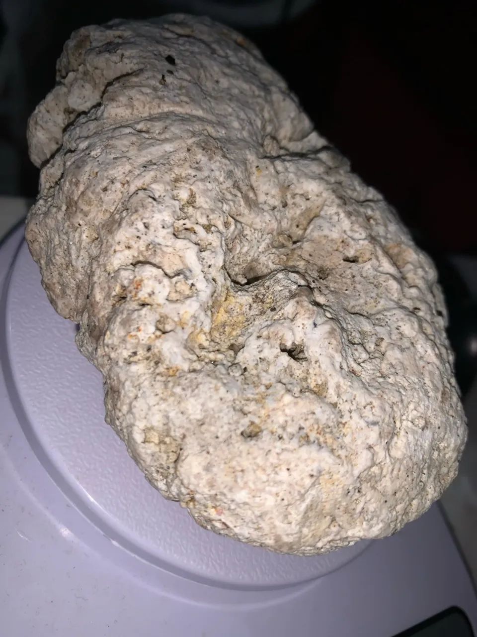 Vendo âmbar gris