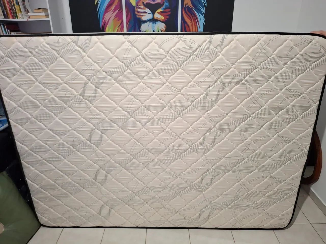 Vendo Colchão Casal Padrão 