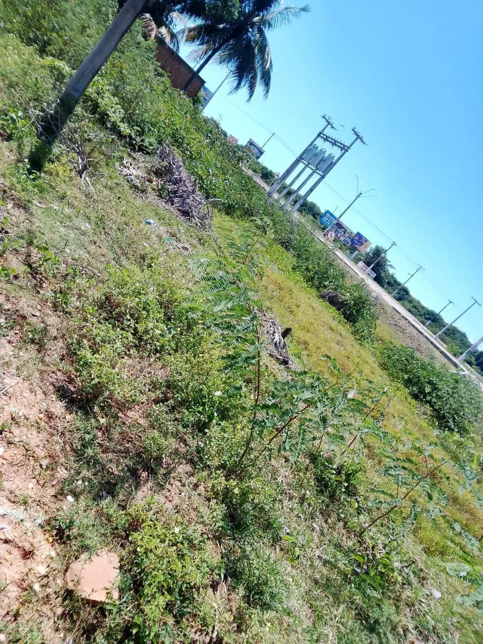 Terreno no abais - Foto 3