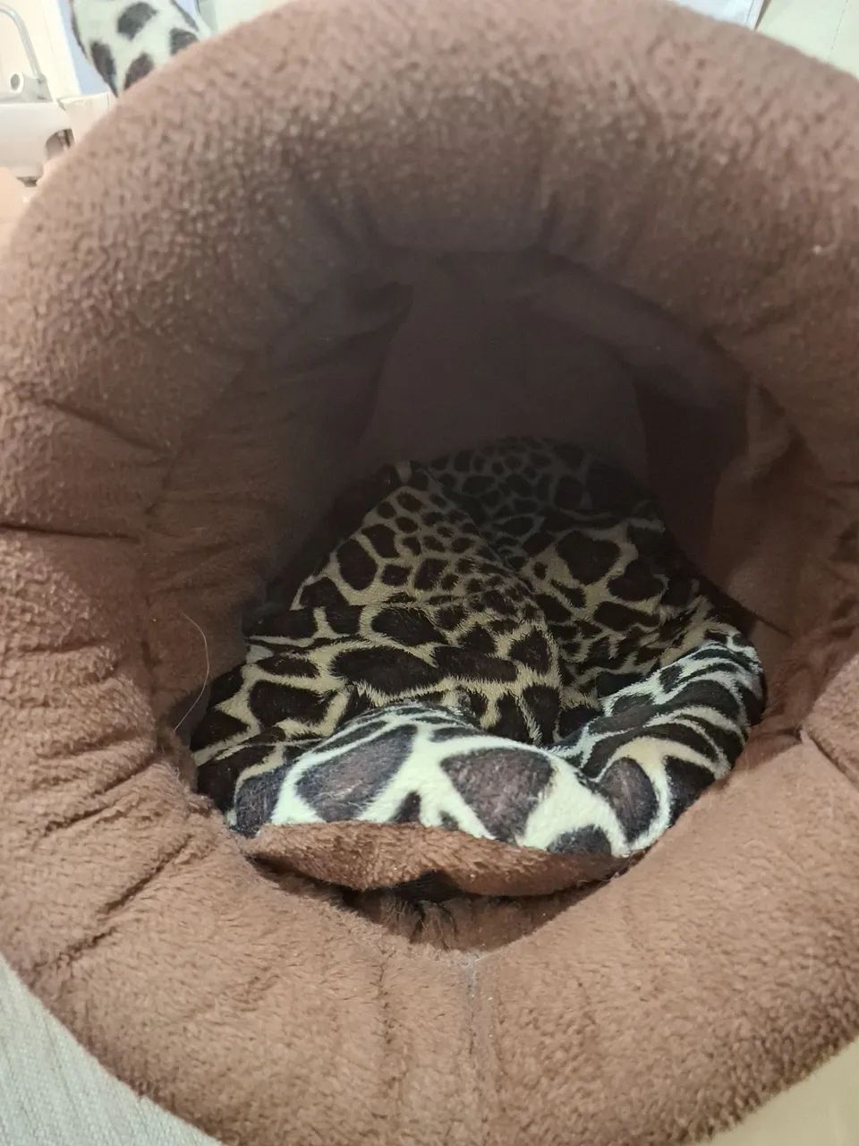 Cama  toca para pet - Foto 2