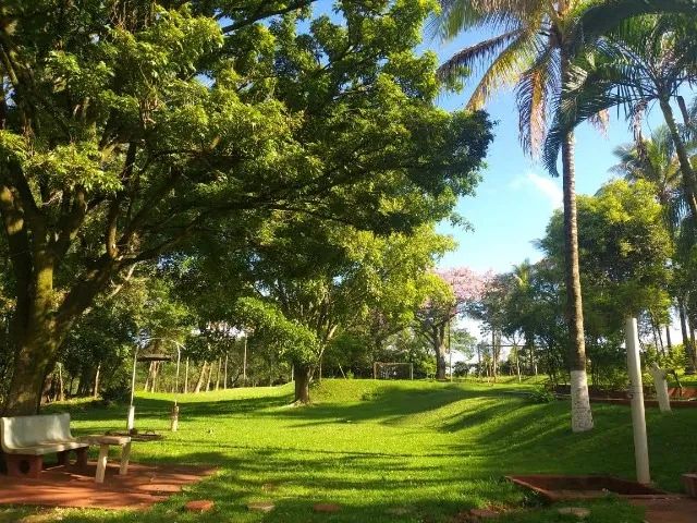 Sitio a venda sp Regiao Ribeirao Preto Sales de Oliveira montado 4.3 ha   - Foto 3