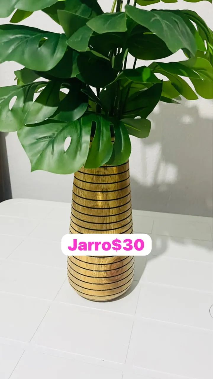 Jarro novo $ 30 cada 