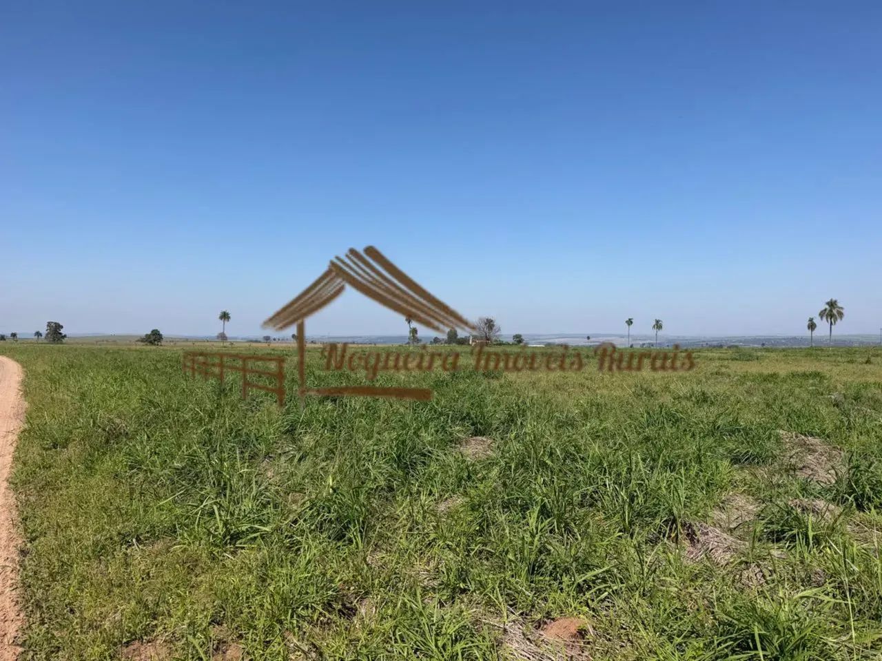 Sitio com 4 alqueires na região de Santa Maria da Serra-SP