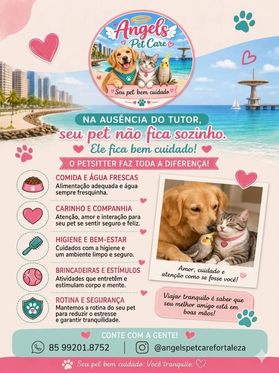 Babás de PET - Foto 2