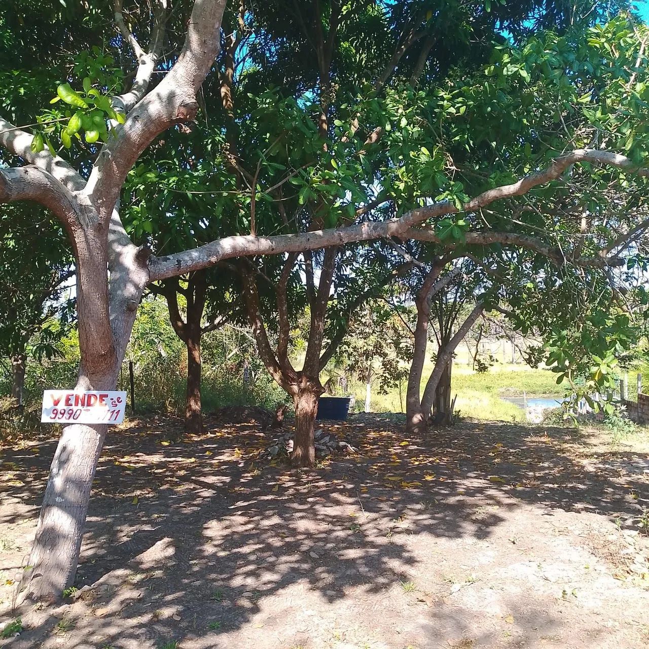 Terreno em Barreirinhas no são Roque - Foto 2