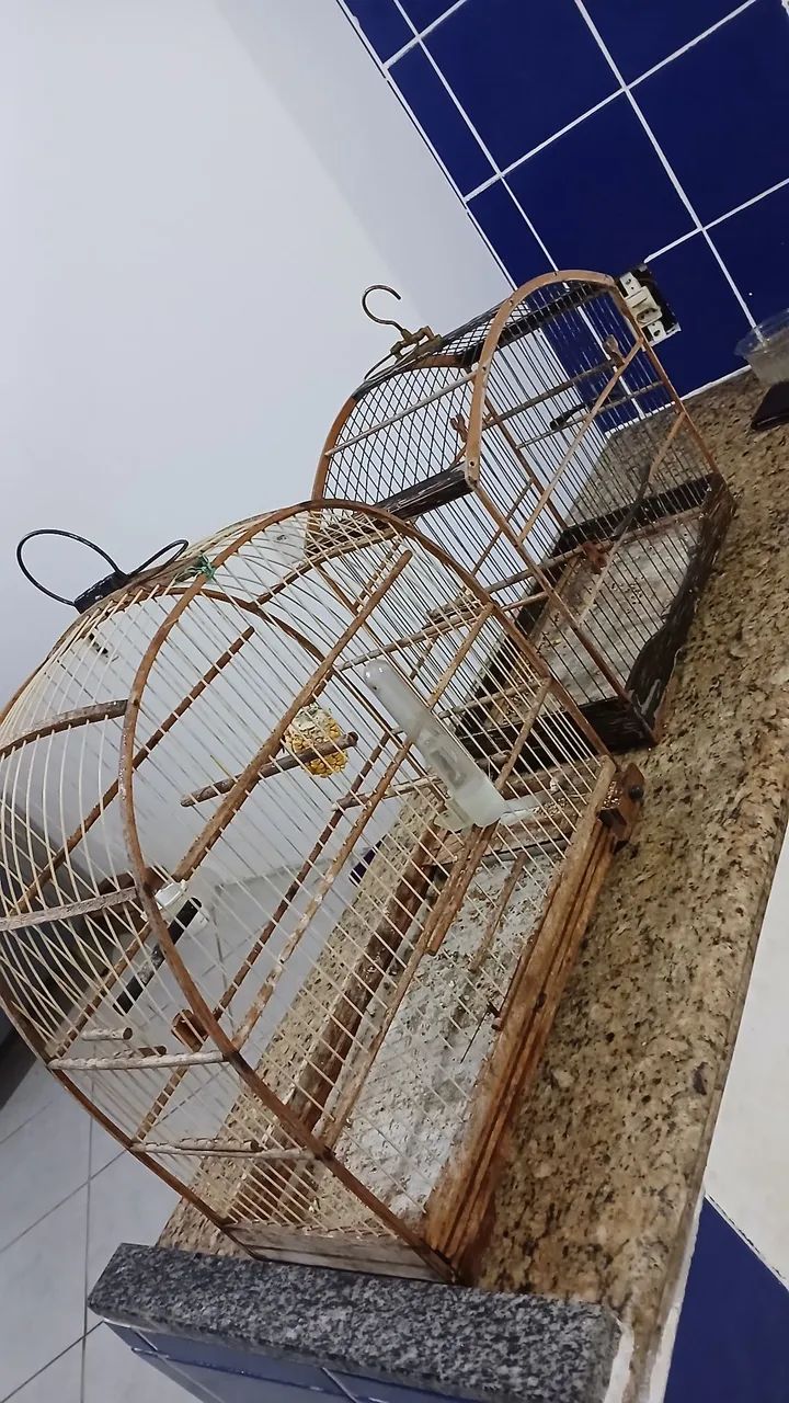 Gaiolas