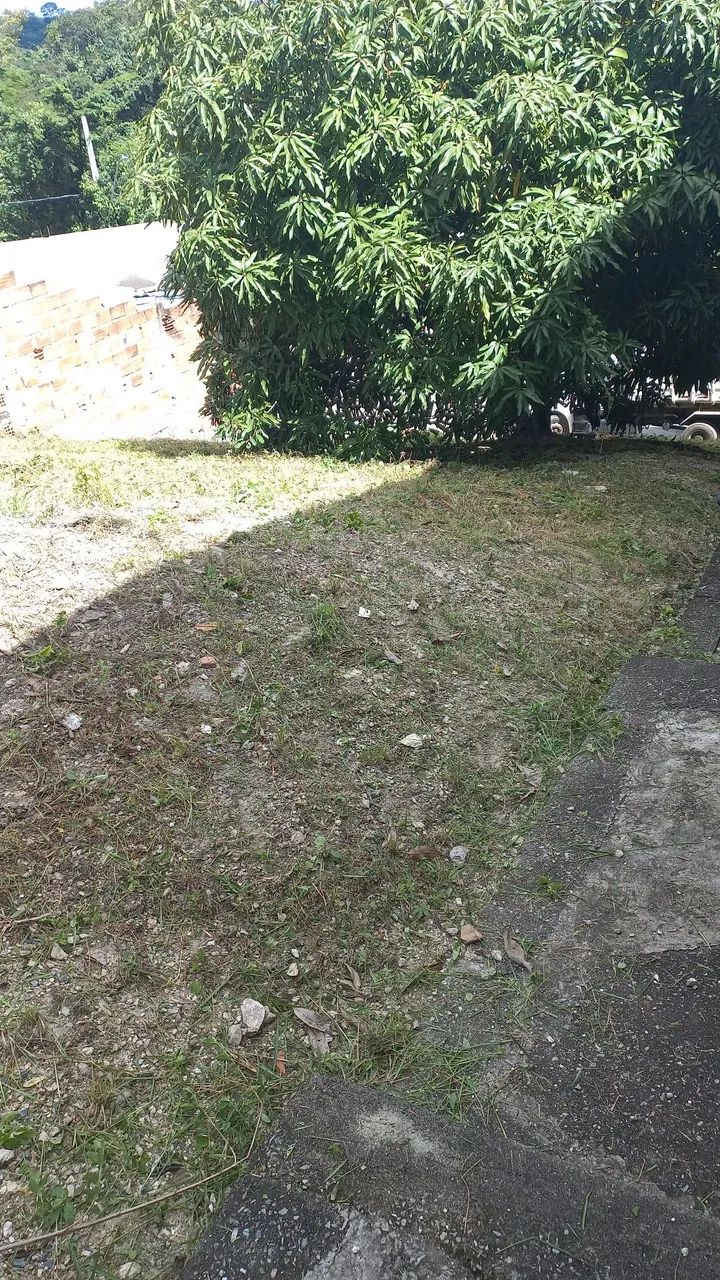 Vendo esse lote - Foto 3