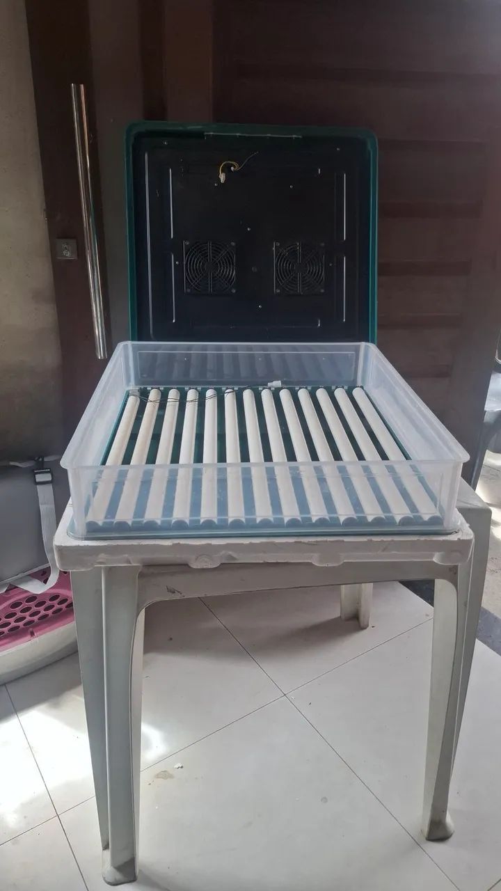 Chocadeira  automatica ecológica 
