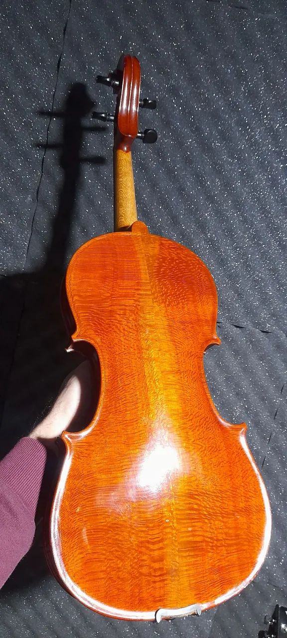 Viola Roma - Foto 3