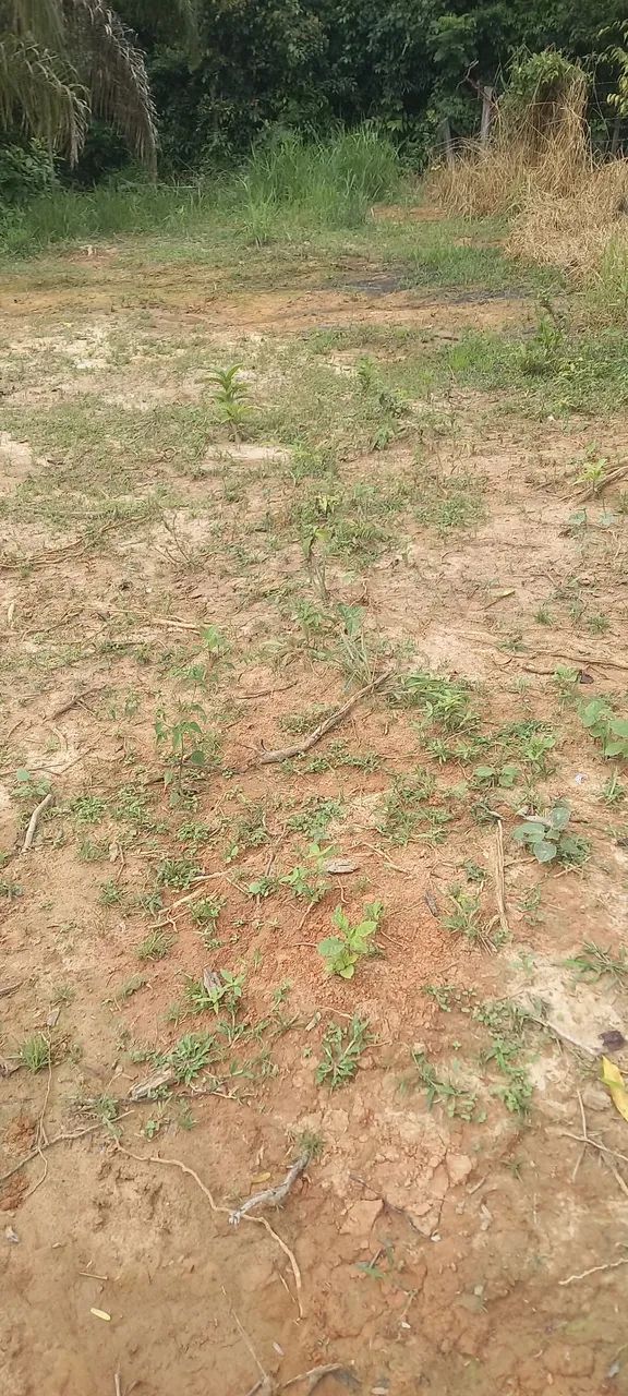 Vende-se um terreno  - Foto 2