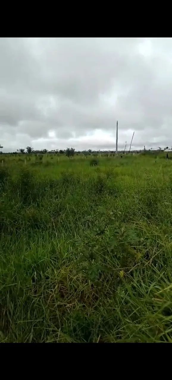 Sítio em Mirante da Serra - Foto 2