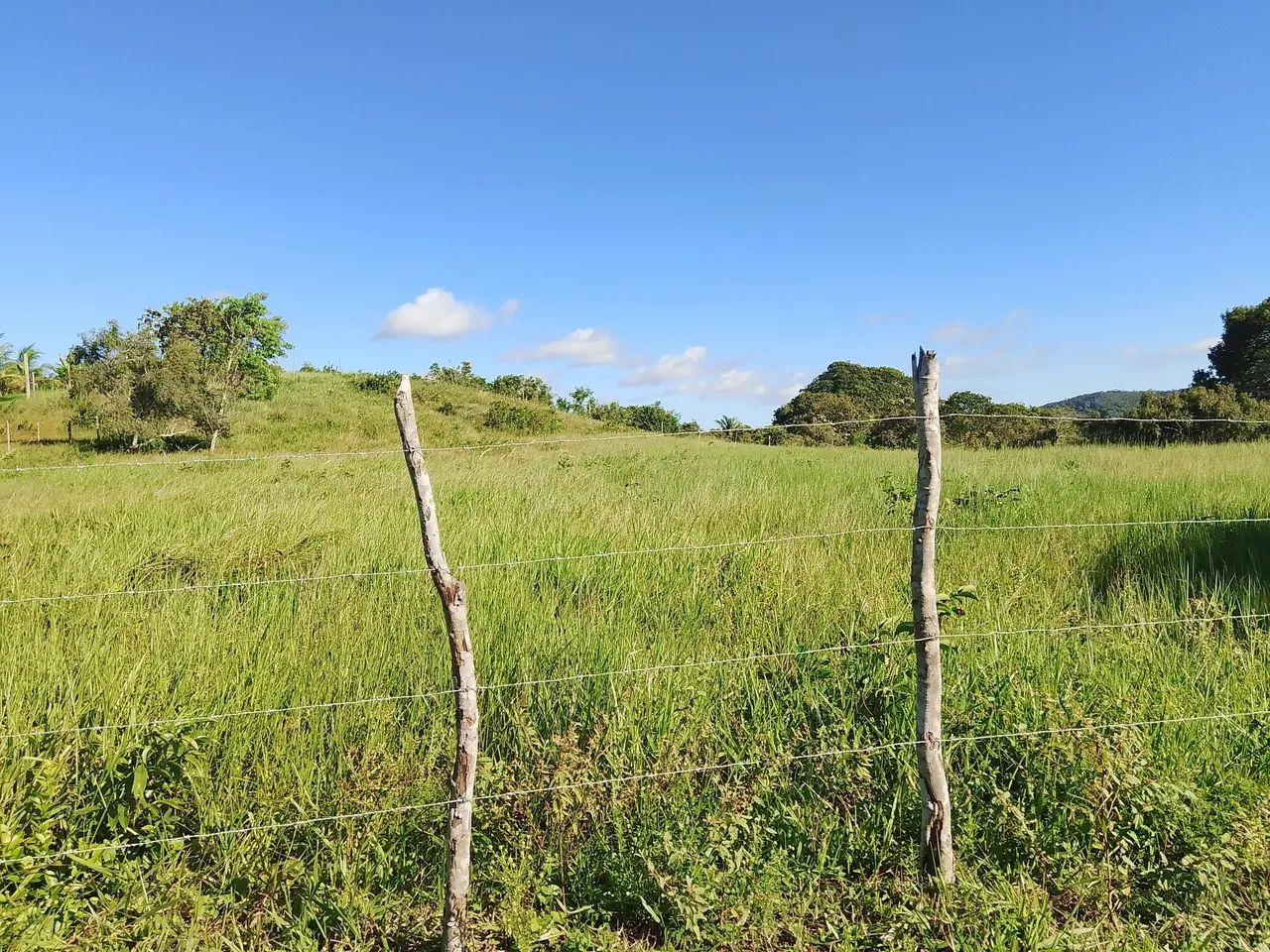 Vendo Lotes Santo Amaro das Brotas-Se - Foto 4