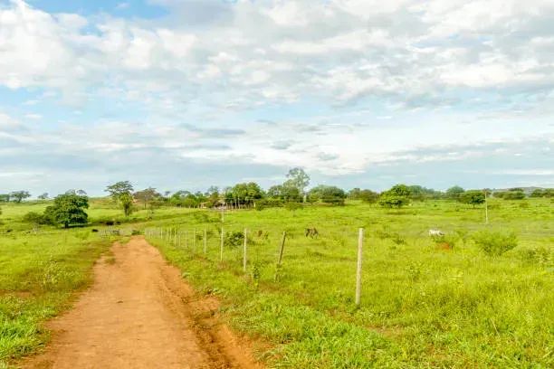 83SI-  Investimento em Terreno de 600m² - Foto 4