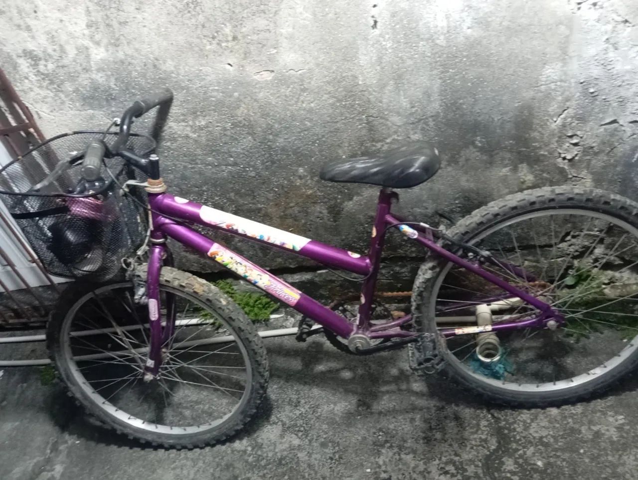 Duas bicicletas 