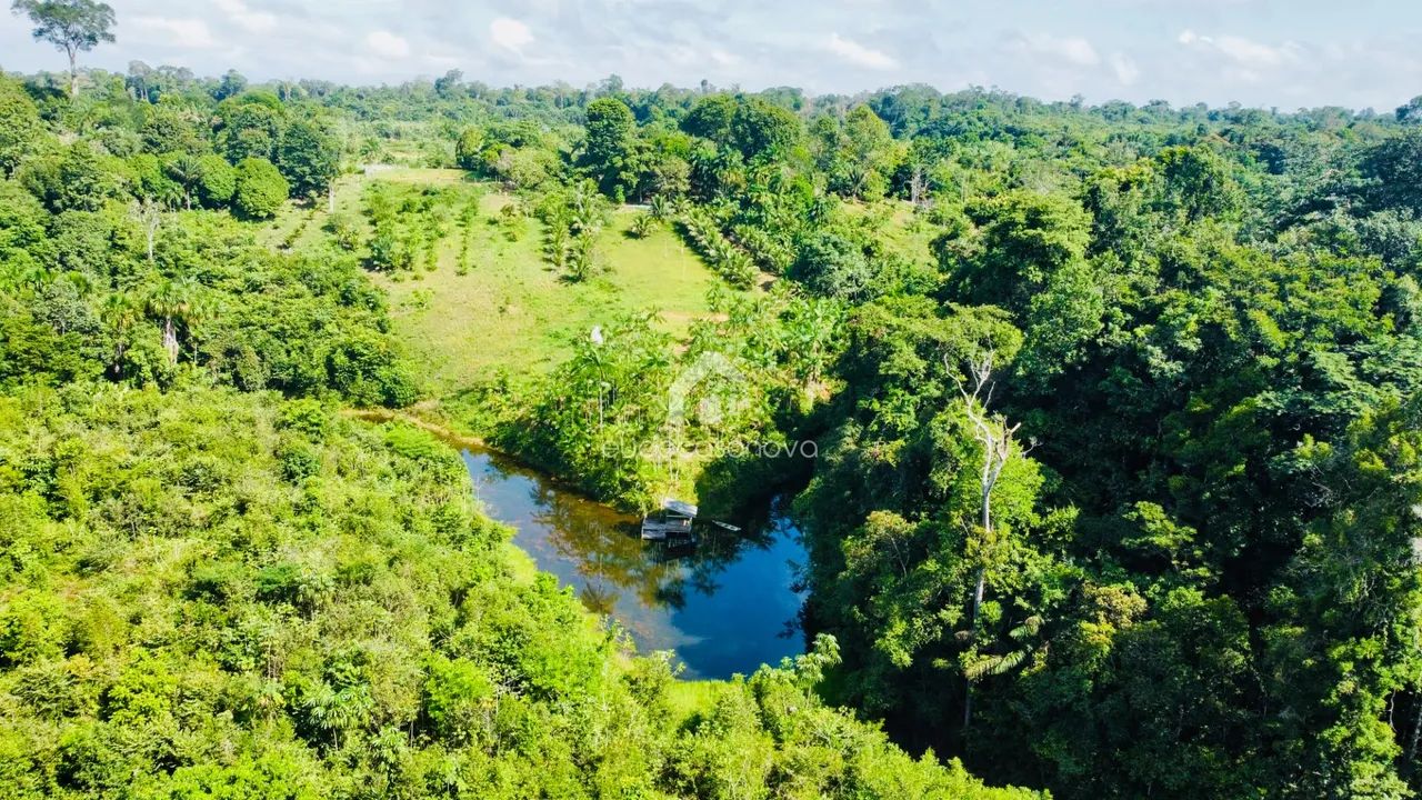 Sítio Ramal do Banco, Rio Preto com Nascente - Foto 4