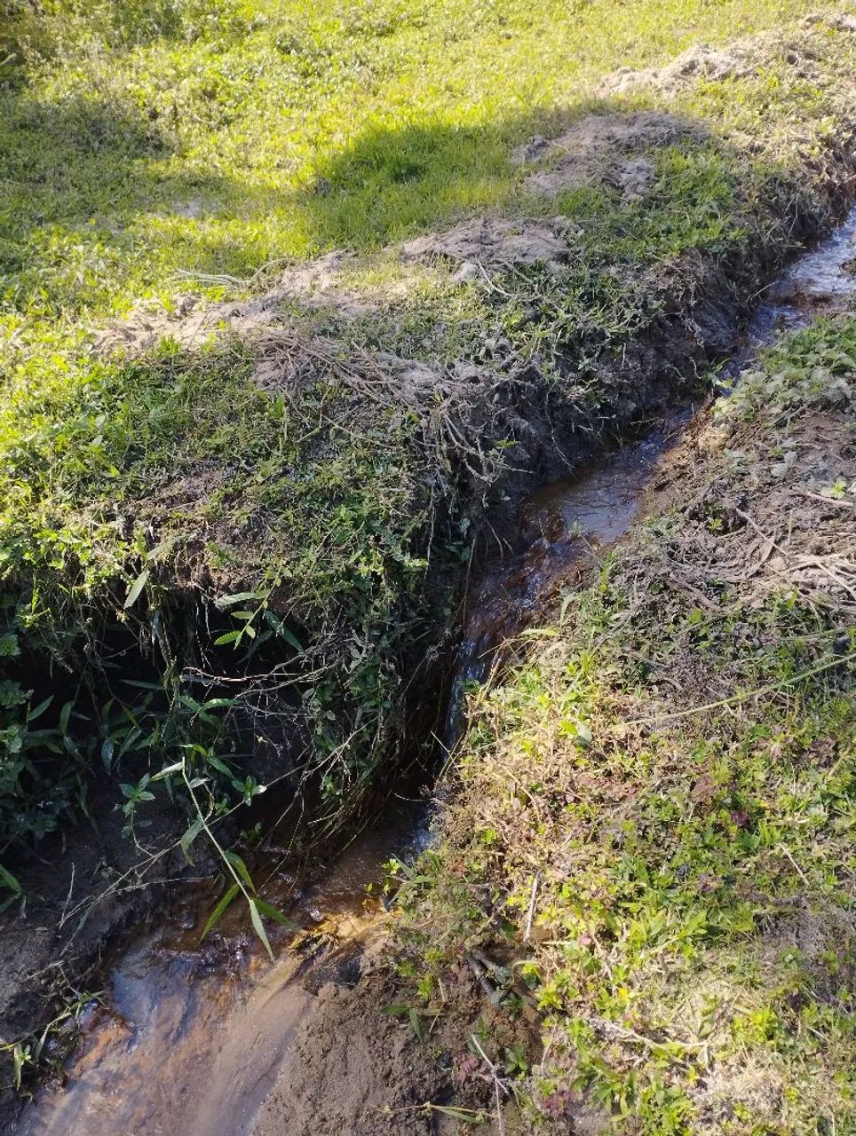 Vendo terreno em Itamonte Mg  - Foto 5