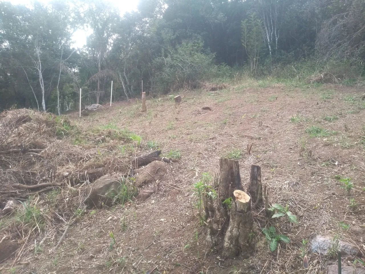  Vendo terreno na Costeira do Pirajubae  - Foto 5