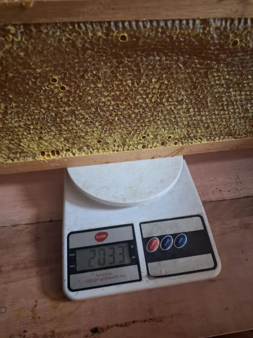 Mel Puro Silvestre de São Joaquim - Foto 3