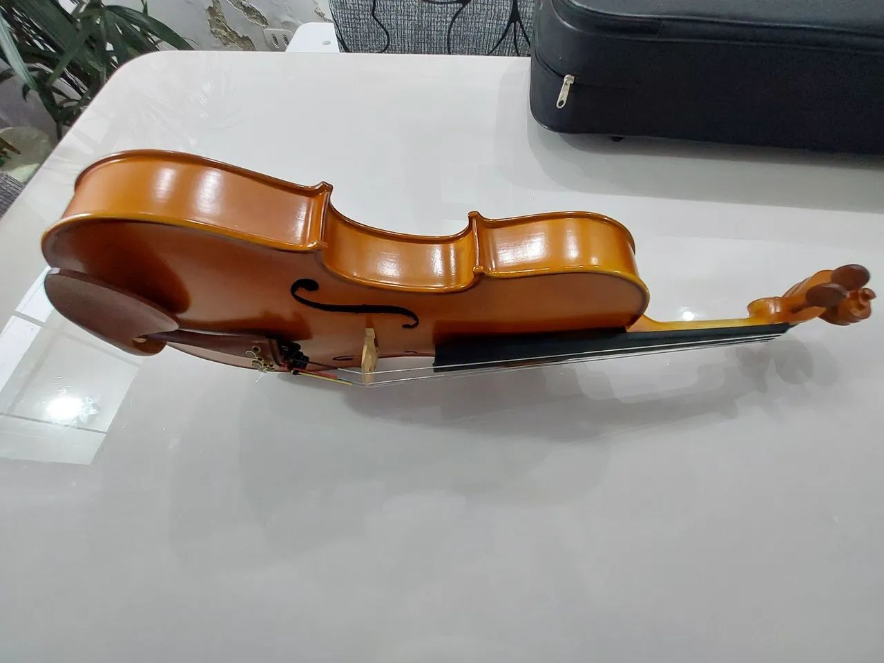 Viola Classica  - Foto 3
