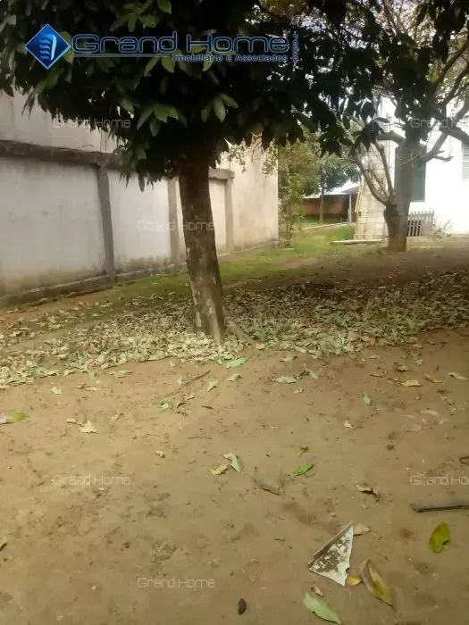 Casa 4 quartos em Glória - Foto 5