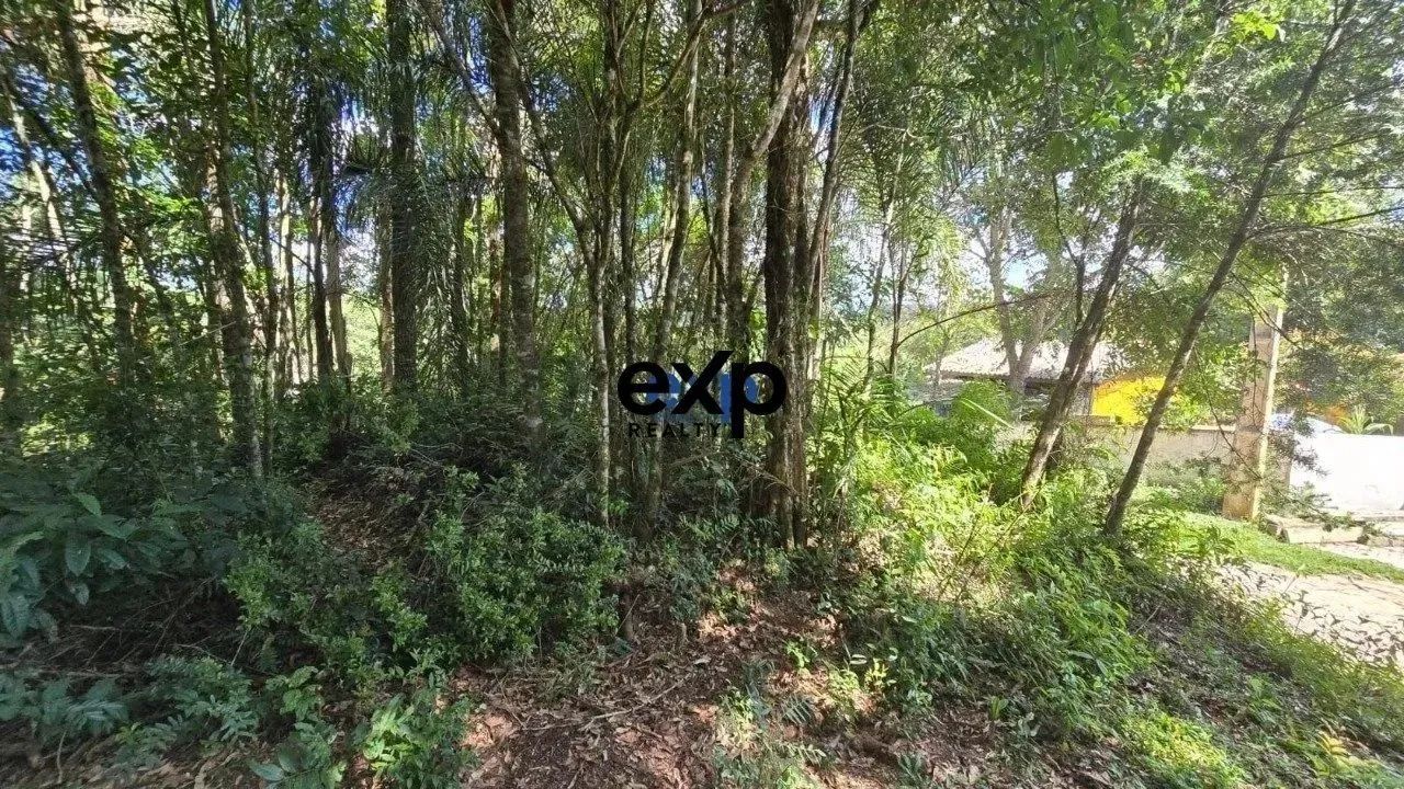 CHÁCARA LEÃO AGUDOS DO SUL PR - Foto 5