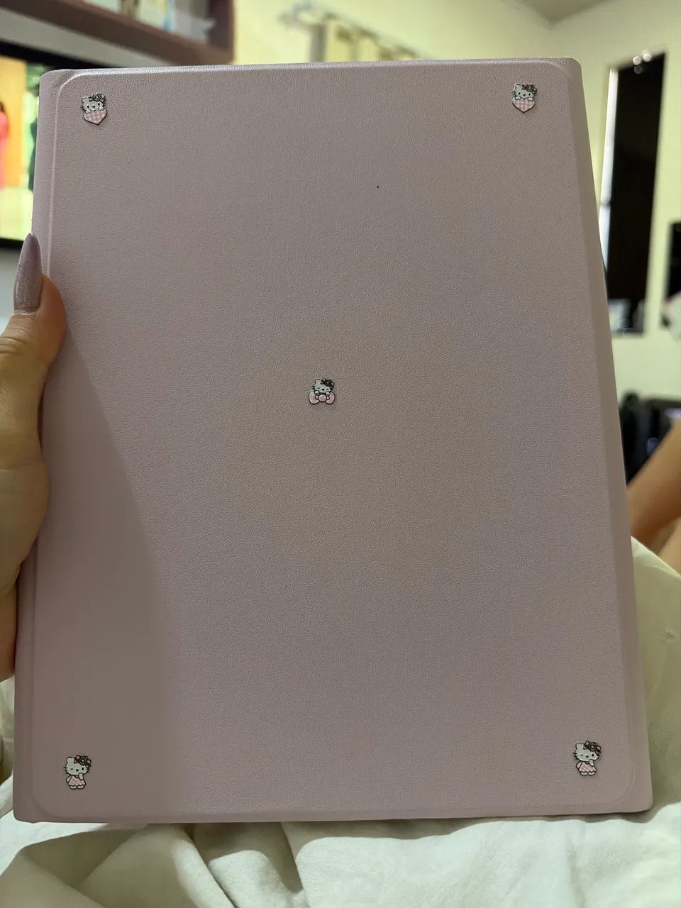 Capa iPad 