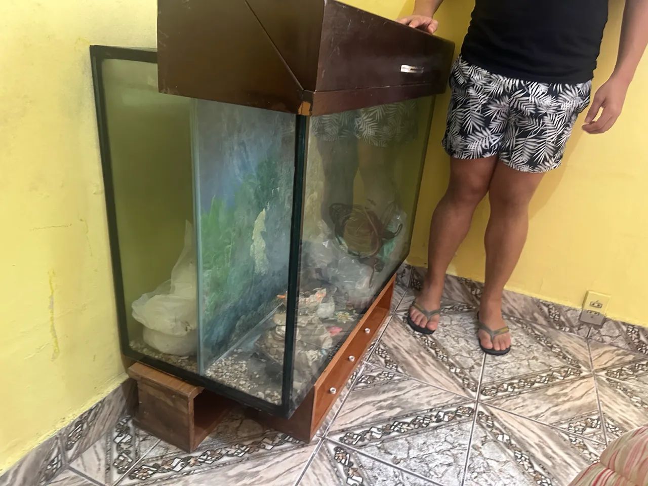 Aquário e acessórios - Foto 4