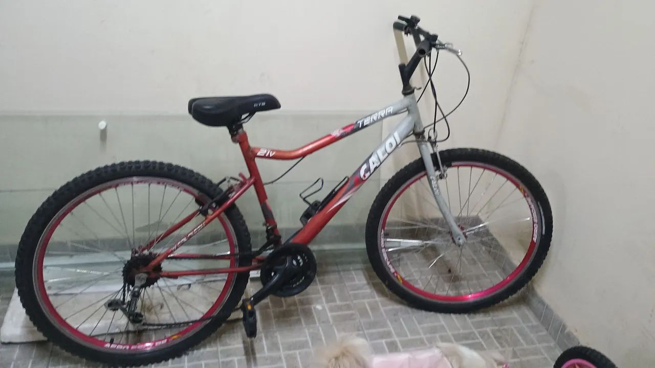 Vendo bicicleta CALOI  - Foto 5