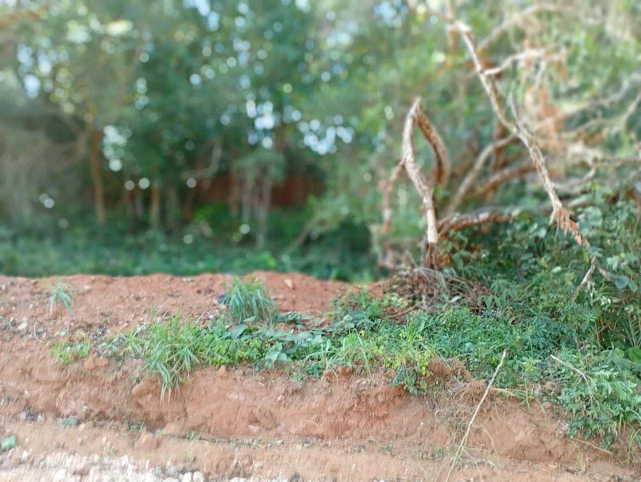Terreno de 3 mil metros  - Foto 5