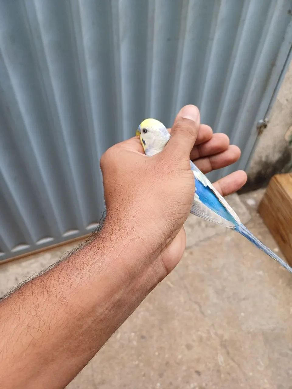 Vendo todos  - Foto 4