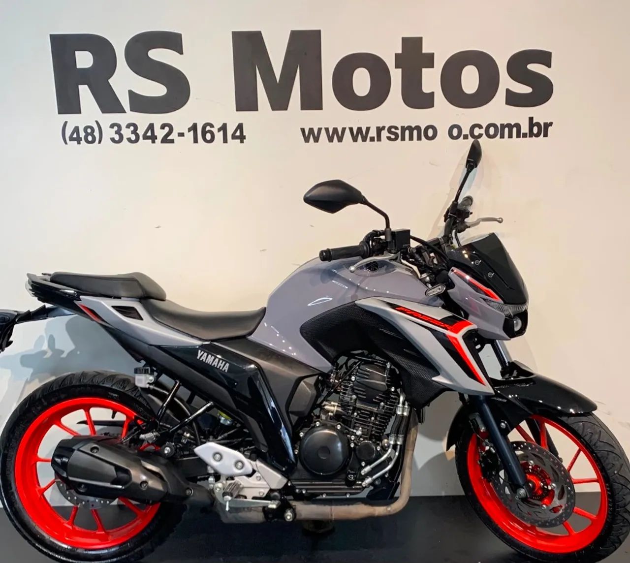 FZ250 FAZER
