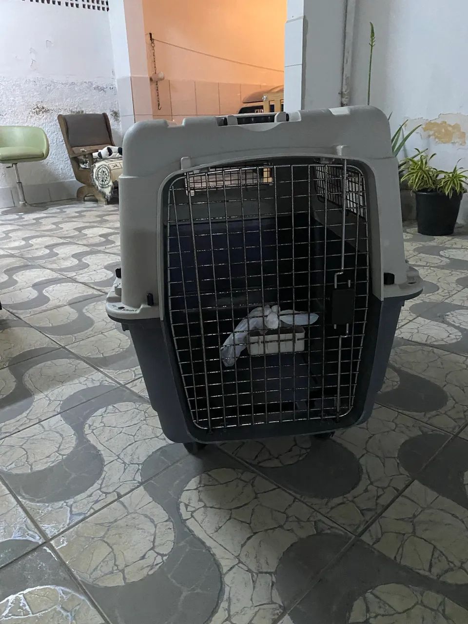 Caixa de Transporte Pet ? - Foto 2