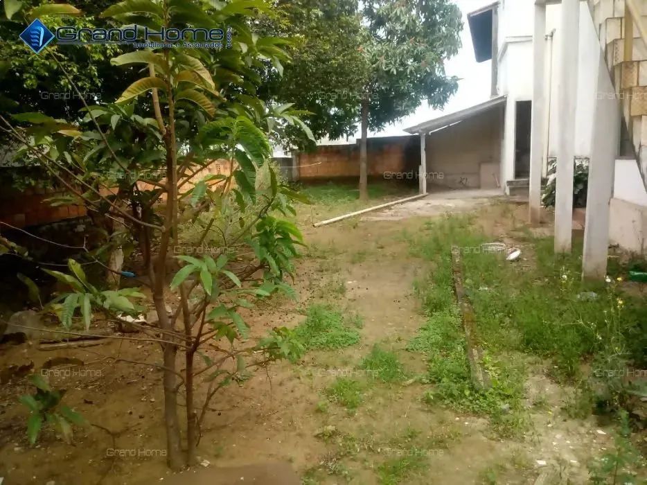 Casa 4 quartos em Glória - Foto 3