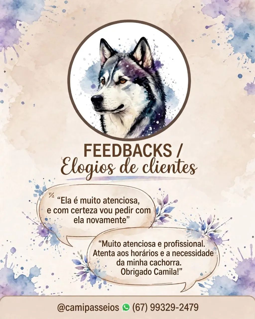 Petsiter e passeios com pet em campo grande  - Foto 3