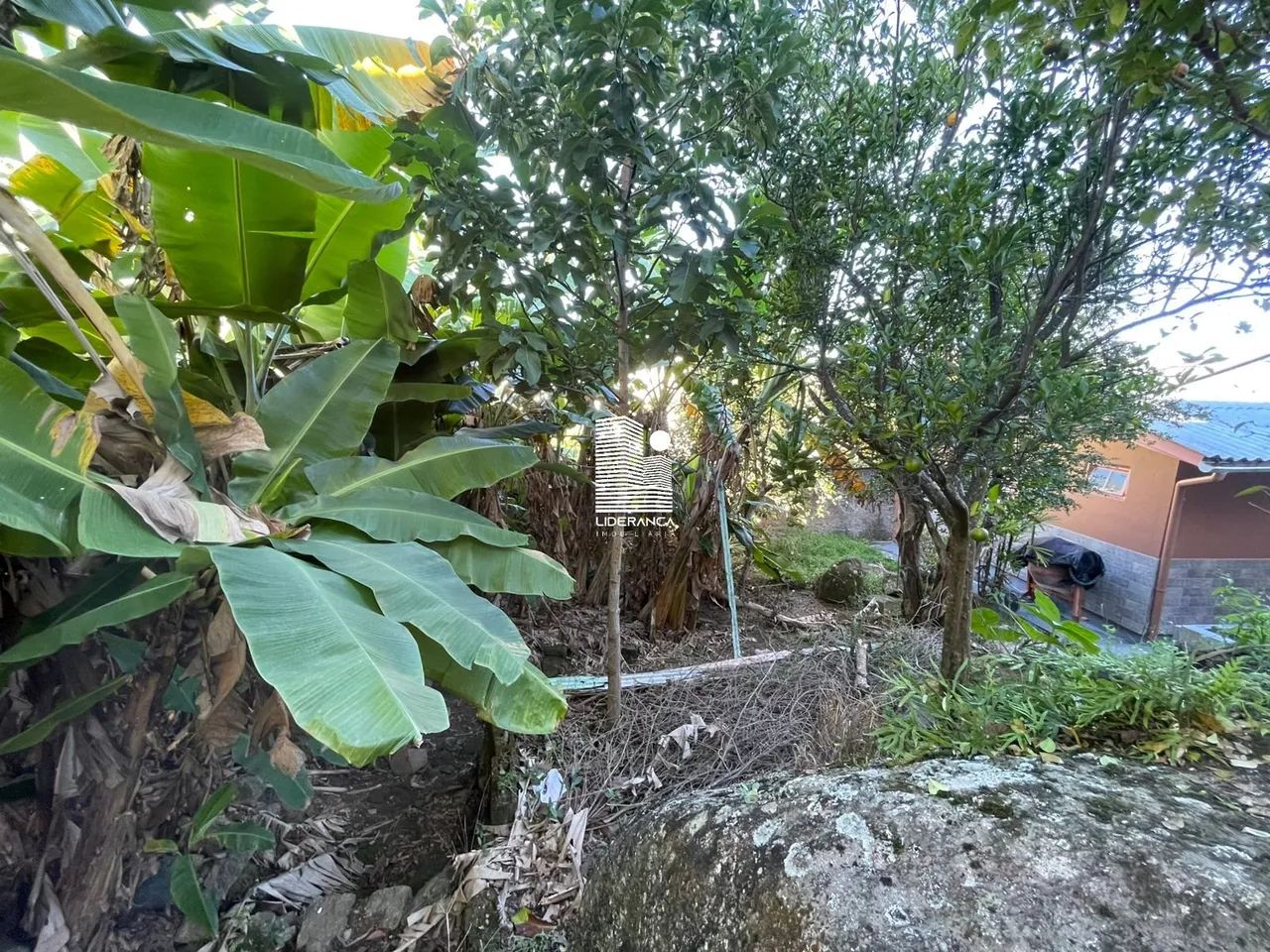 Terreno, Costeira do Pirajubaá - Foto 4