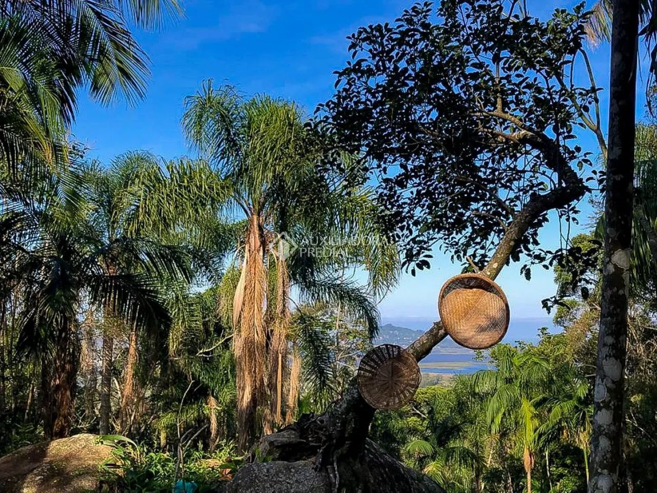 terreno em garopaba - Foto 5