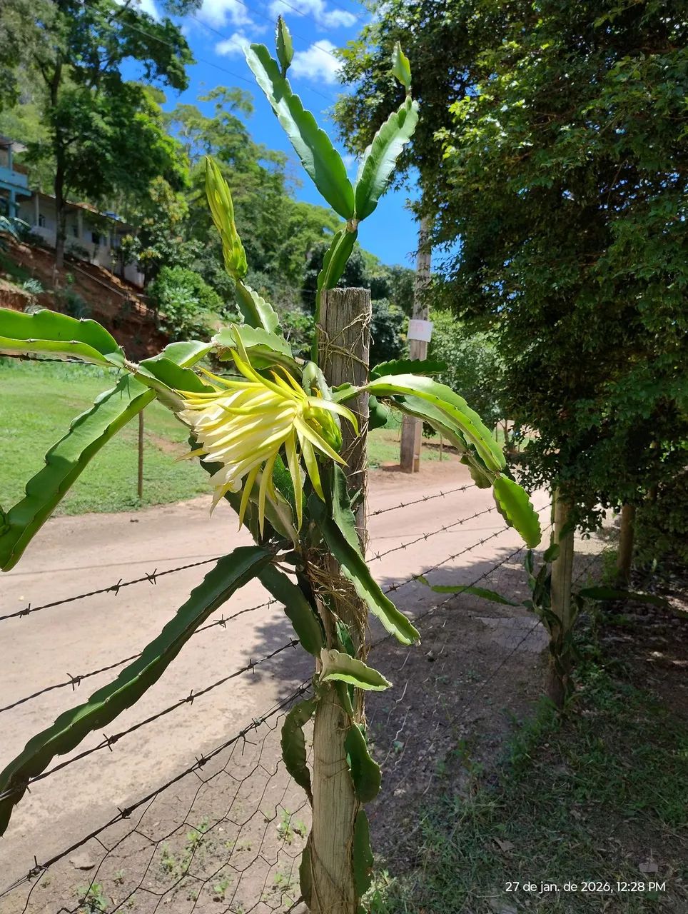 Quatro Chacaras em  área privilegiada. - Foto 2
