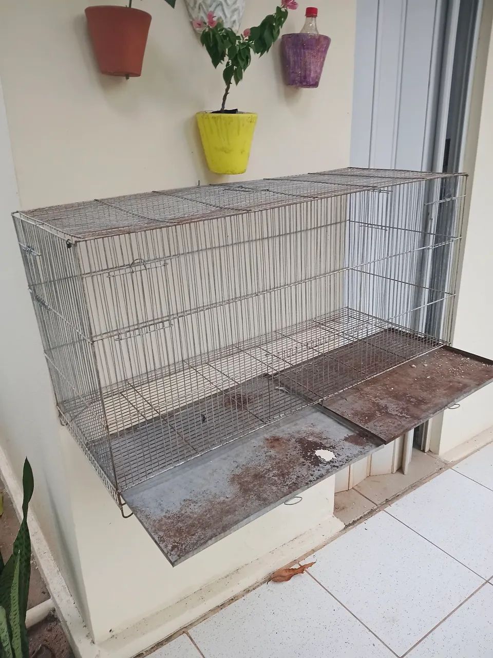 Gaiola 1m424794542667223042