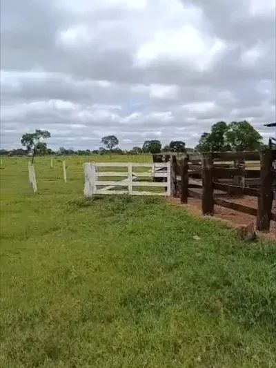 PECUÁRIA - Área Rural 129 Alqueires - Foto 5