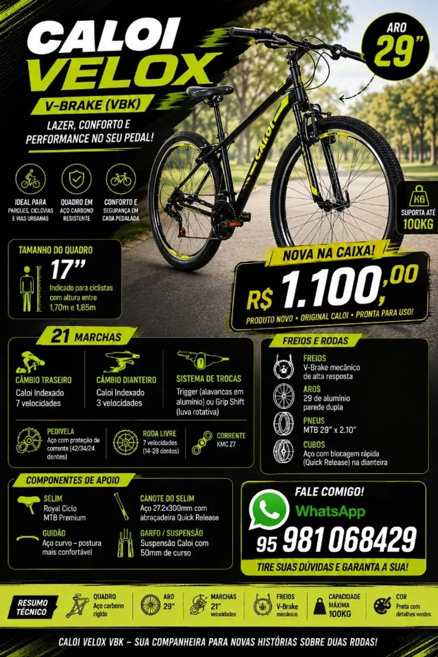 Bicicleta