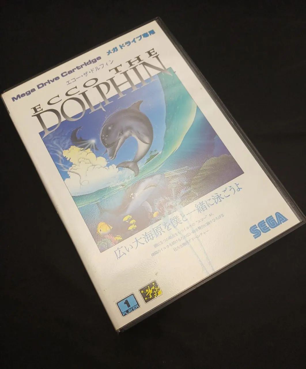 Ecco The Dolphin