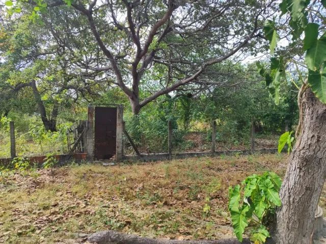 Excelente Sitio em Pacajus - Foto 3
