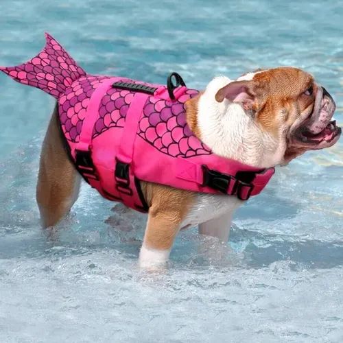 Colete salva vidas Cães  - Foto 2