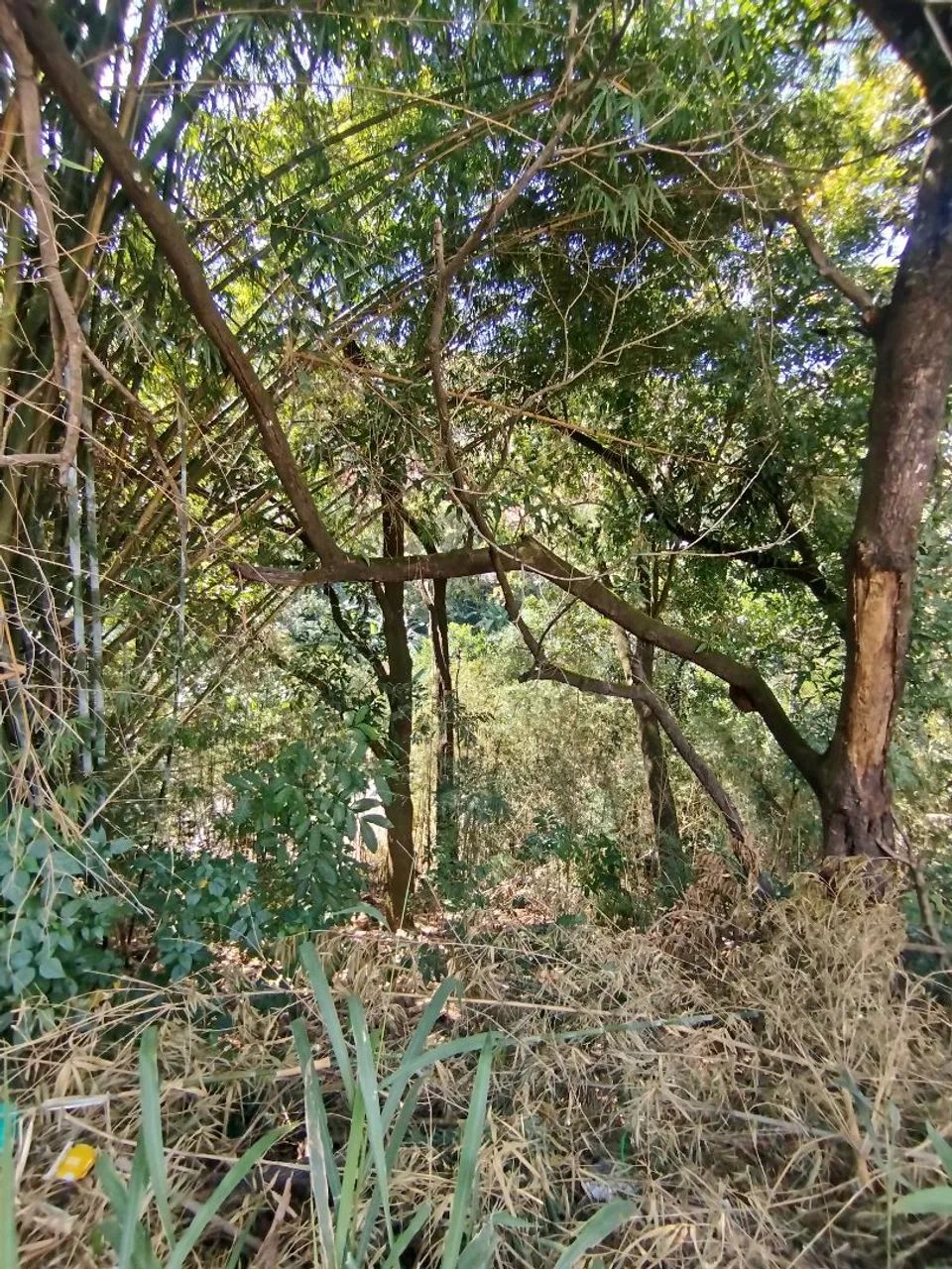 Vendo Terreno no Belmonte  - Foto 5