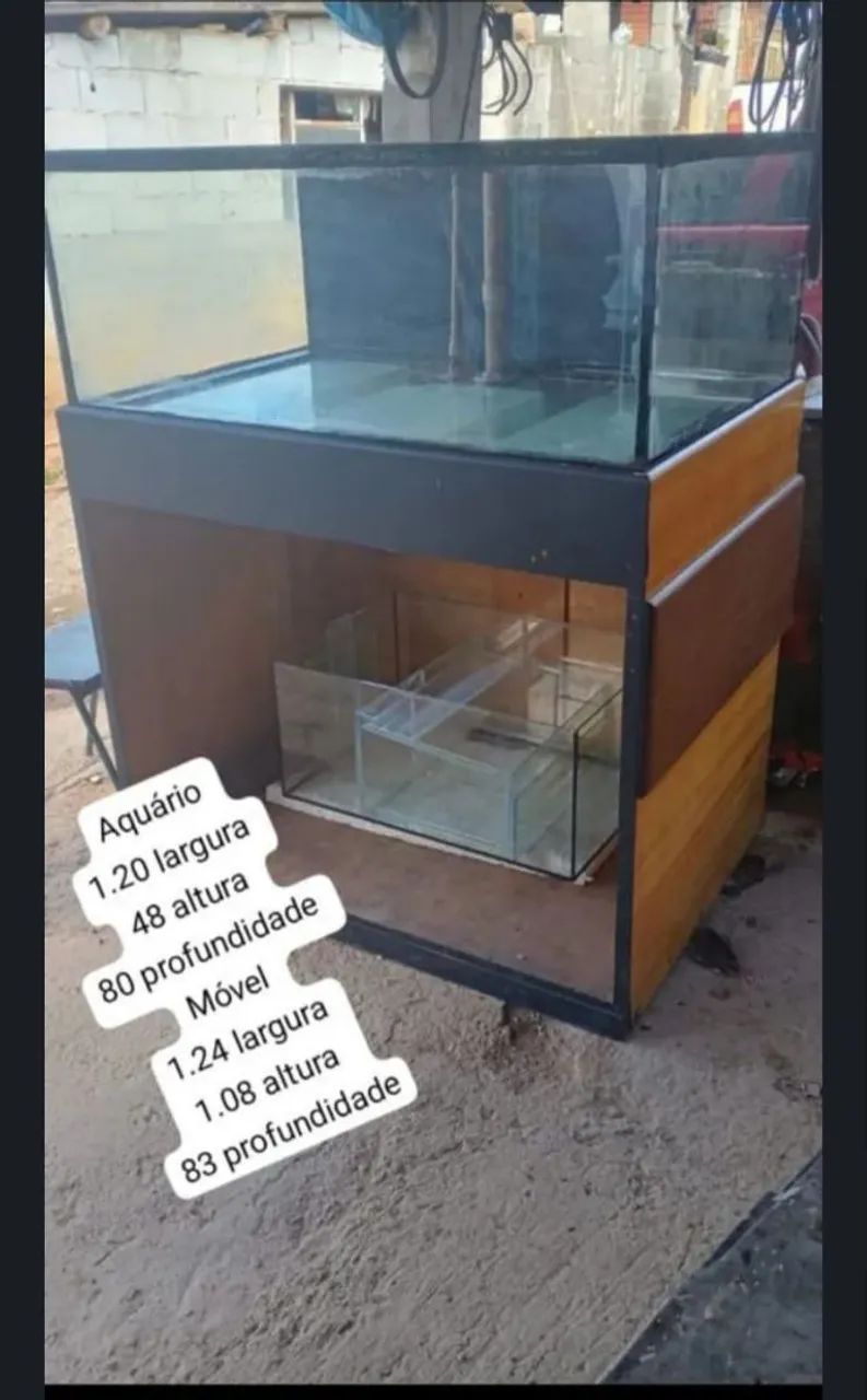 Aquário 
